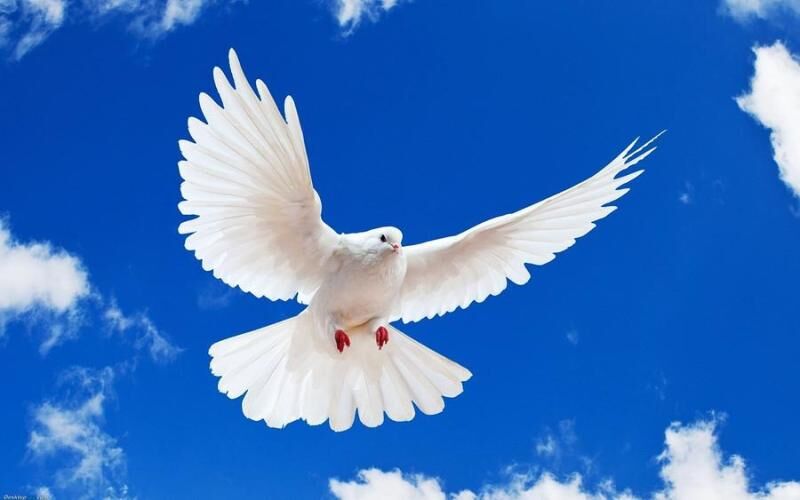 ǵȴȥ,ѧչ᰿.